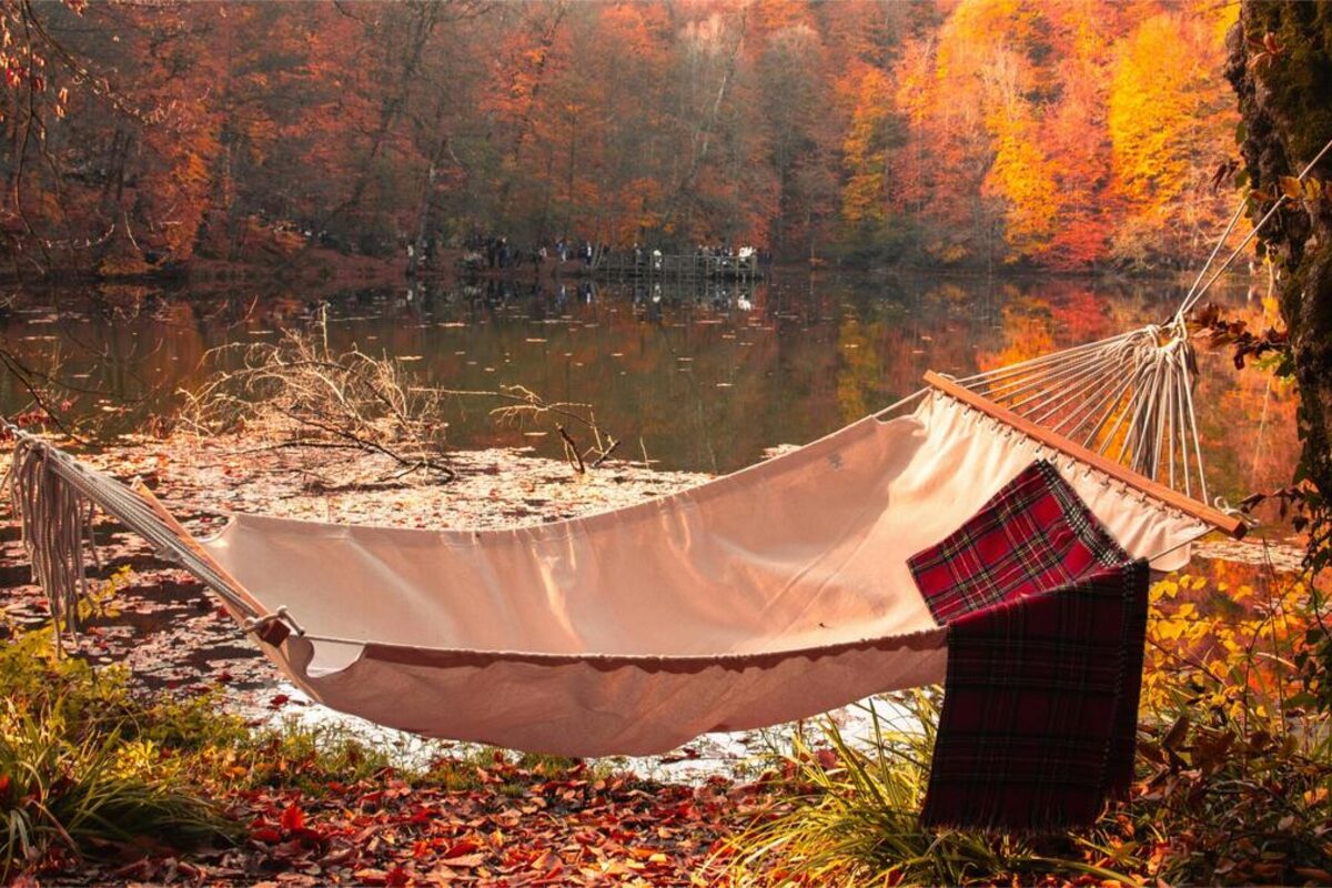 Relaxing in a hammock on private land