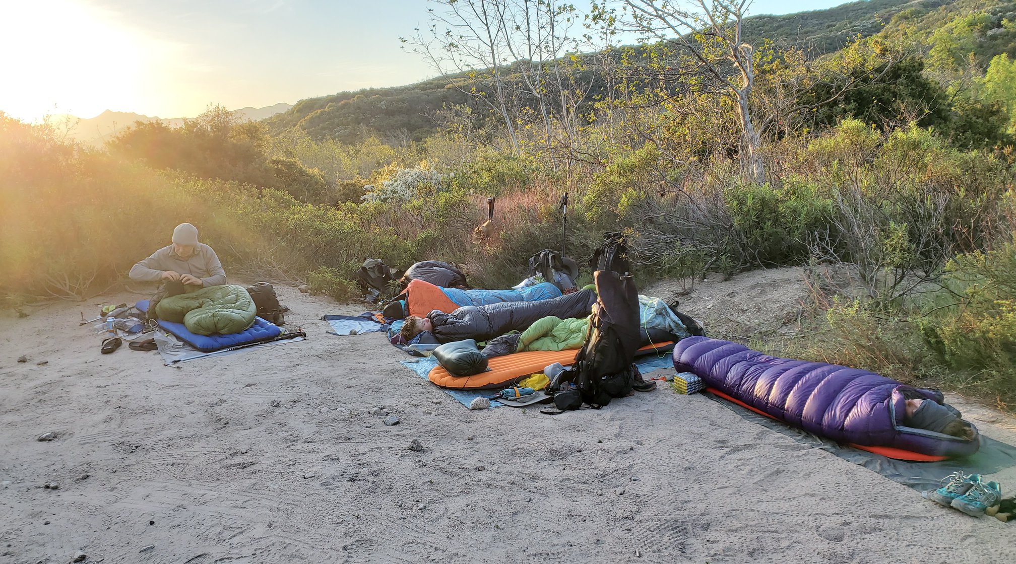 Pacific Crest Trail hikers' sleeping bags lined up on a dirt road at first light in 2020